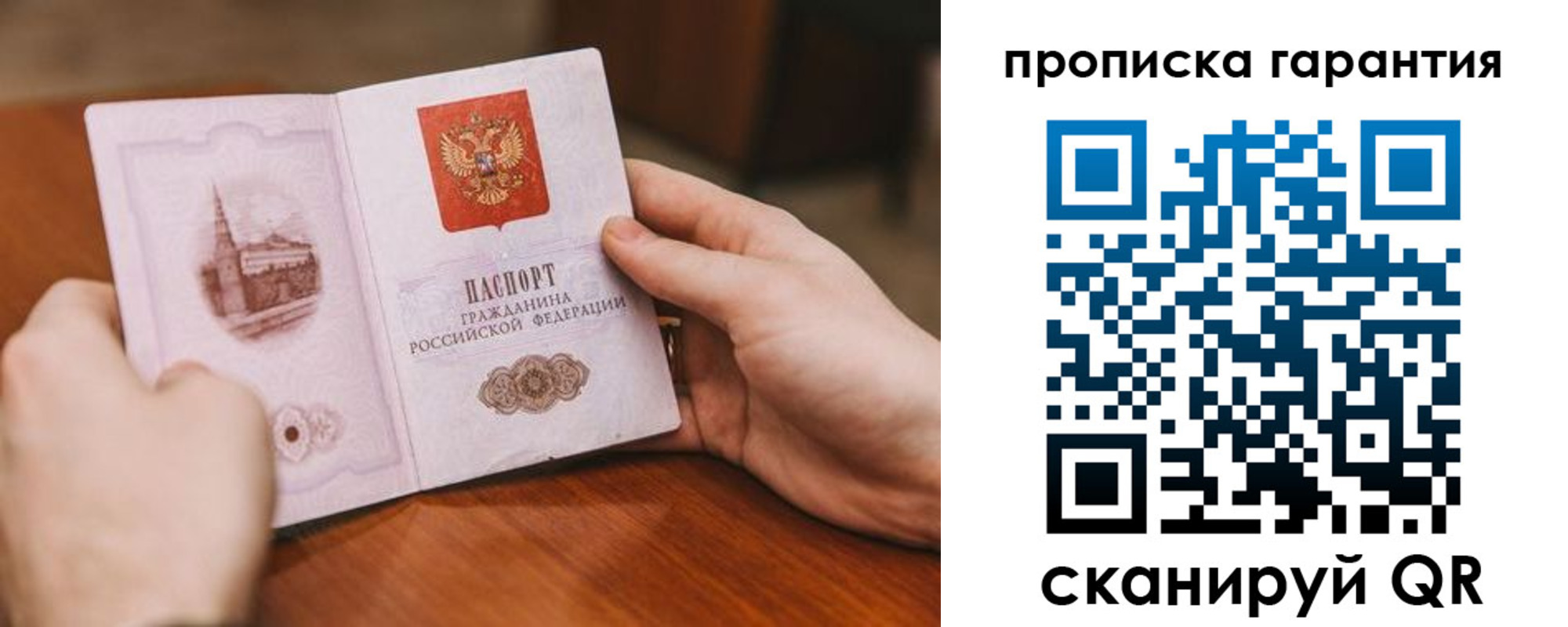 прописка поиск в Курской области